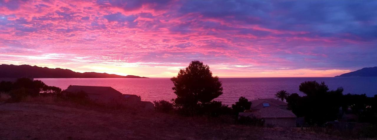 Le Panoramic Leilighet Saint-Florent  Eksteriør bilde