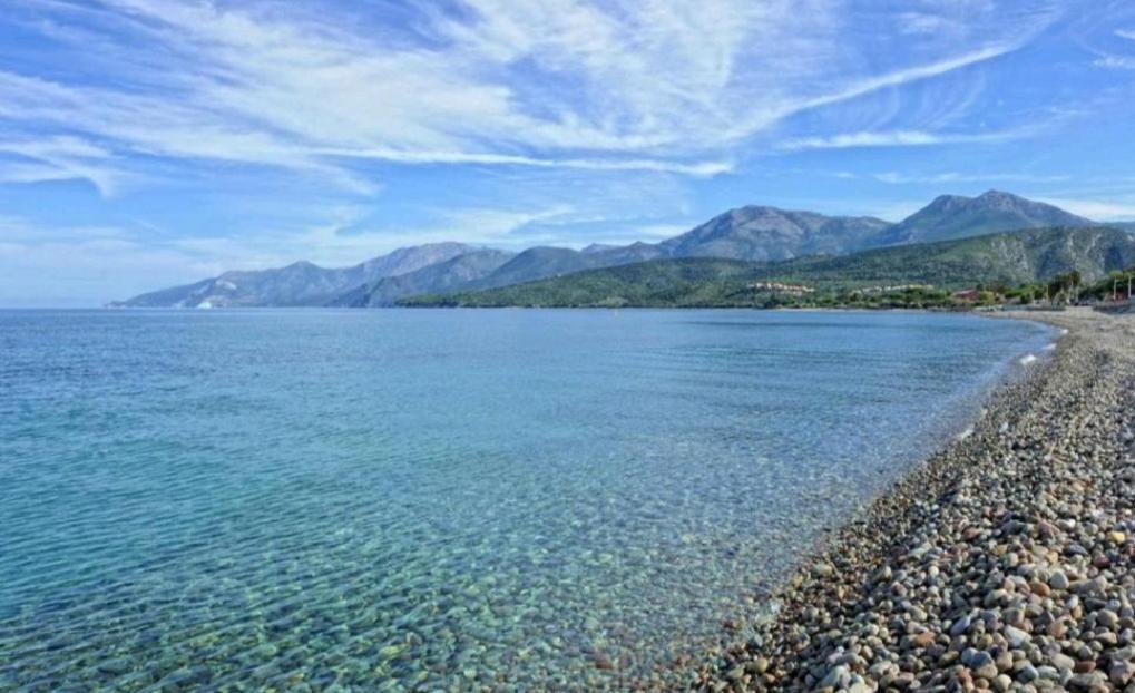 Le Panoramic Leilighet Saint-Florent  Eksteriør bilde