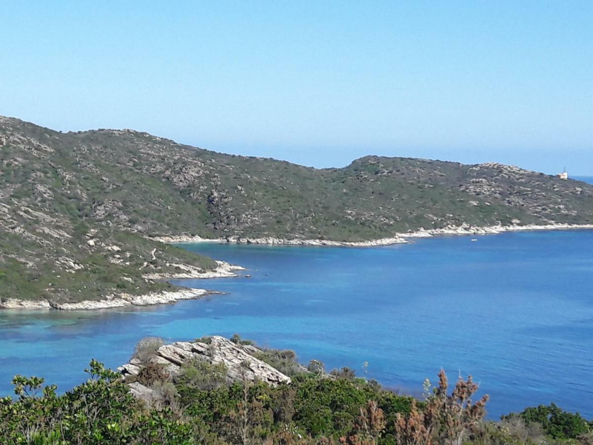 Le Panoramic Leilighet Saint-Florent  Eksteriør bilde